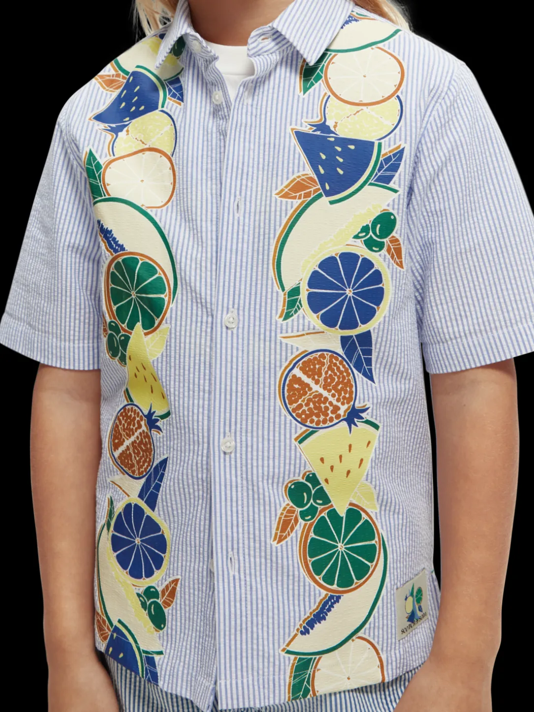 Relaxed Fit Pinstripe Printed Shirt