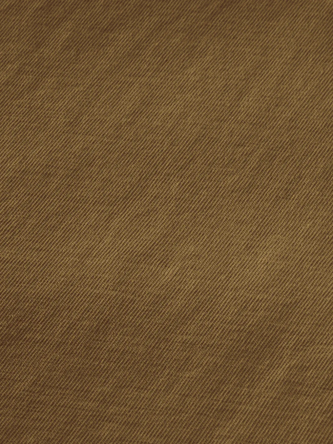 Relaxed Fit Raw-Edge Organic Cotton T-Shirt