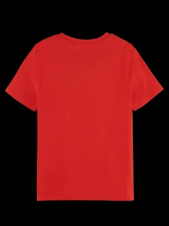 The Free Spirit Peace Bird Regular Fit T-Shirt